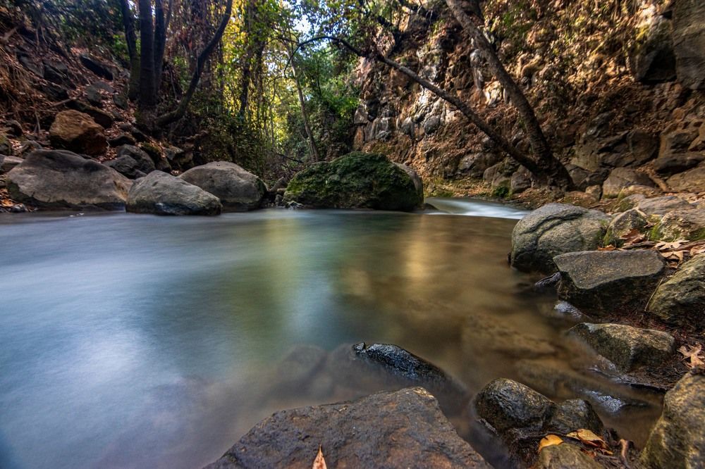 Photograph by Dany Natapov