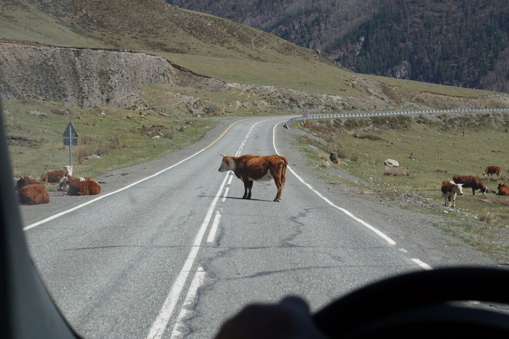 Photograph by Алфия Бугакова