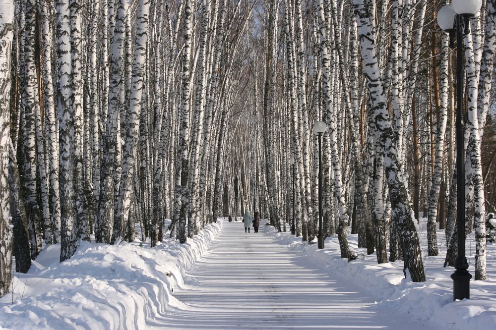 Photograph by Ирина Вассерлауф