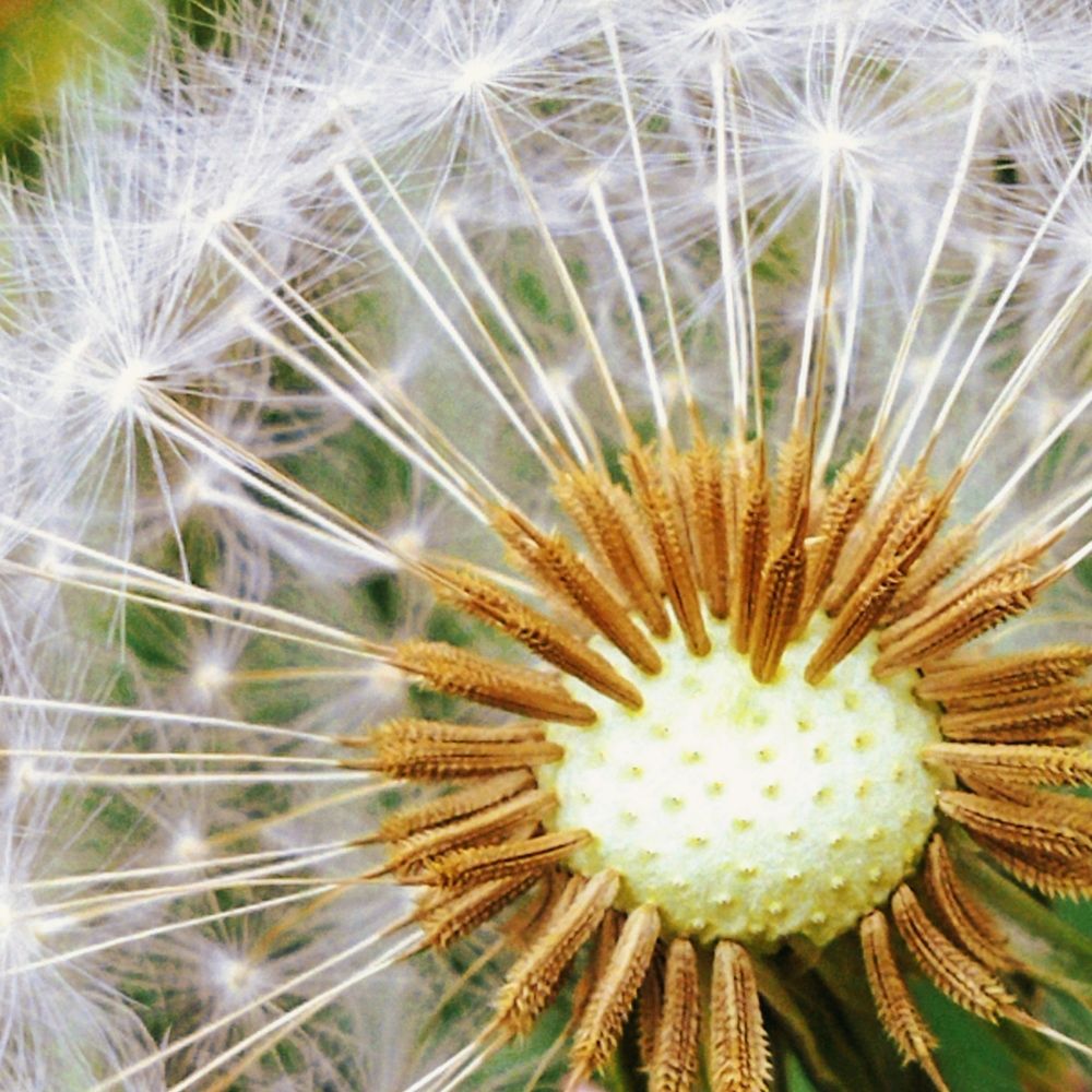 Photograph by Лариса Пасечник