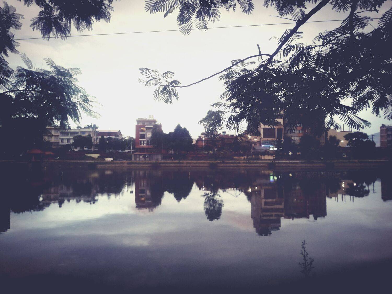 Reflection