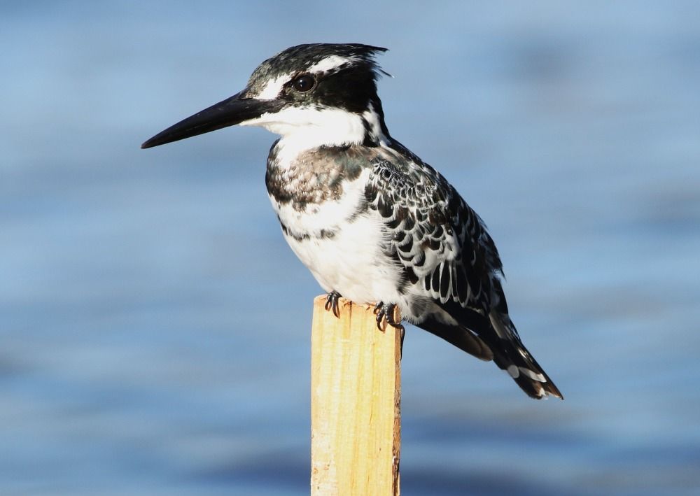 Photograph by Elizma Boonzaaier