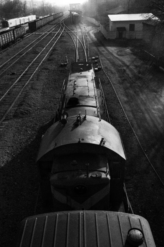 Photograph by Sergey Kostikov