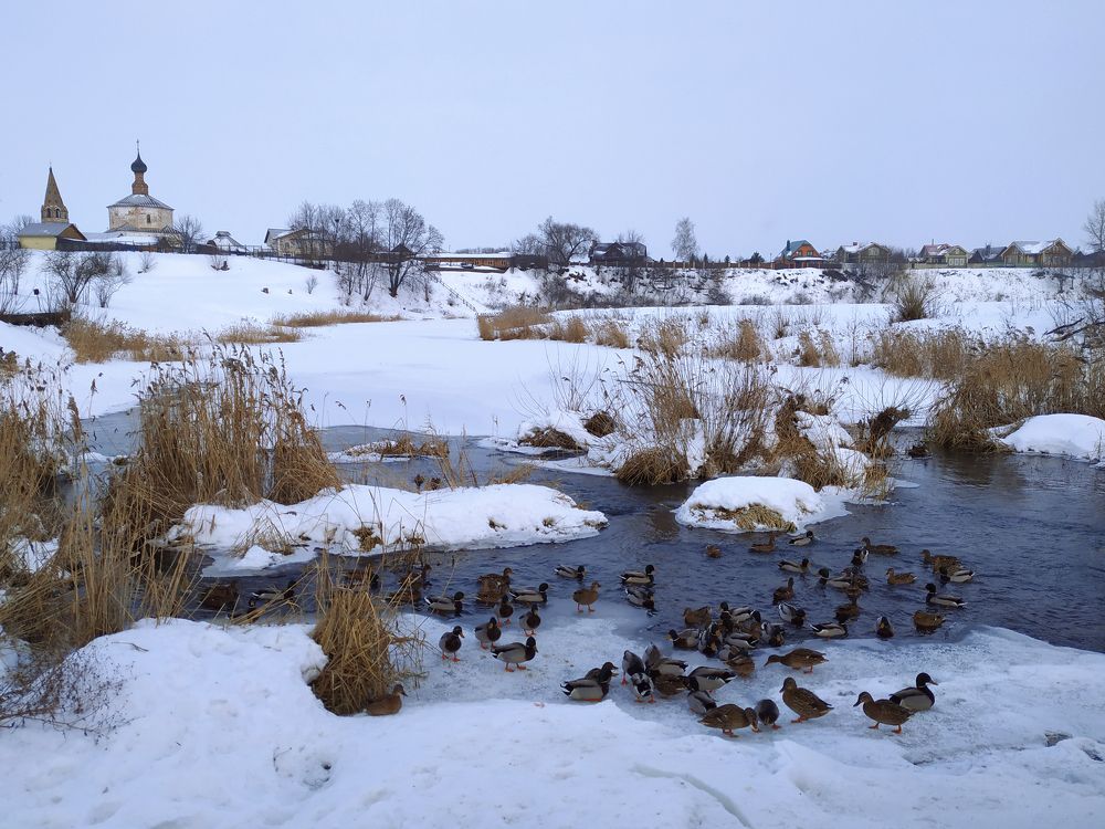 Photograph by косяк