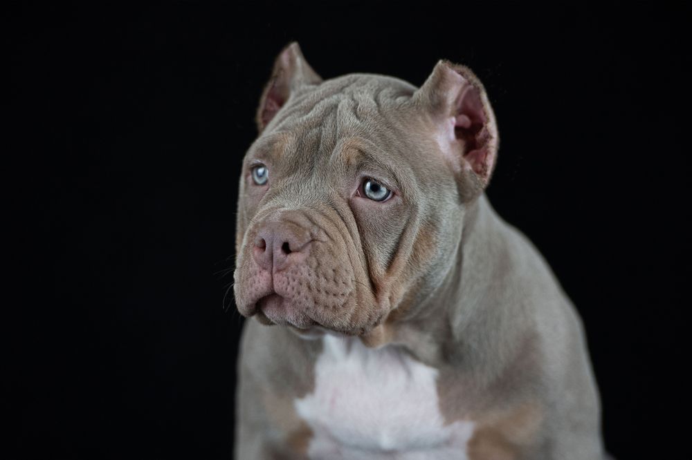 Photograph by Дарья Лисицына