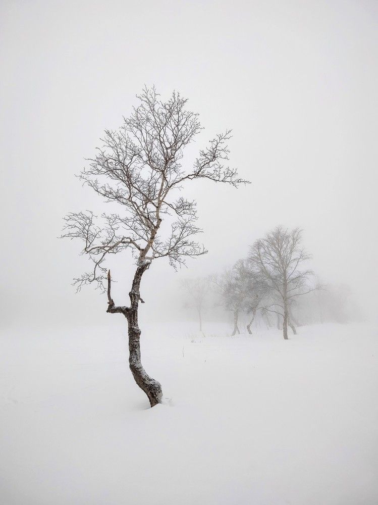 Photograph by Иван Козлов