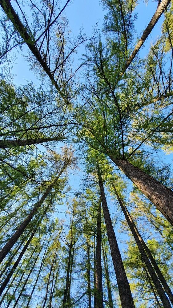 Photograph by Владислав Шавров