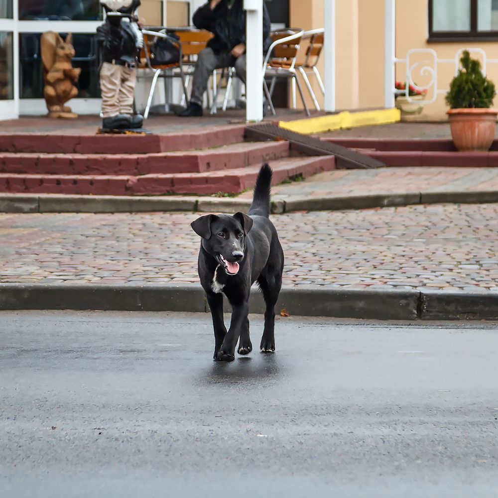 Photograph by Крышен Сергей