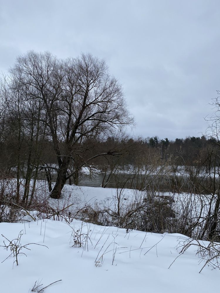 Photograph by NATALJA ROGALOVA