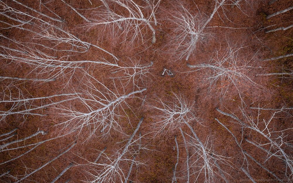 Photograph by Павел Мягких