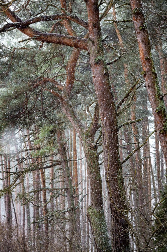 Photograph by Biryukova Anastasia