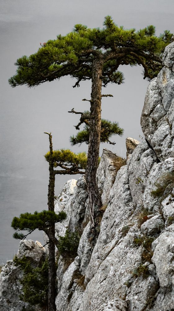 Photograph by Biryukova Anastasia