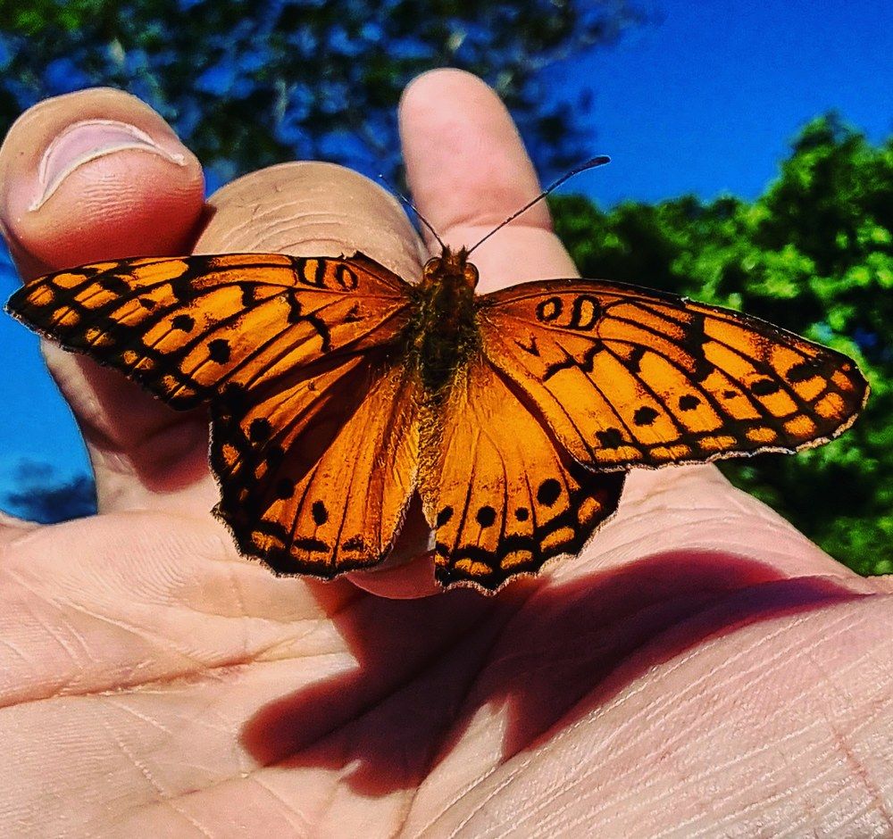 Photograph by HELBER AZEVEDO