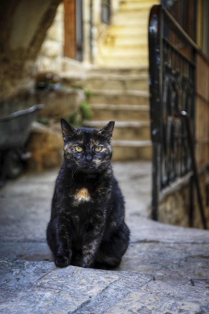 Photograph by Biryukova Anastasia