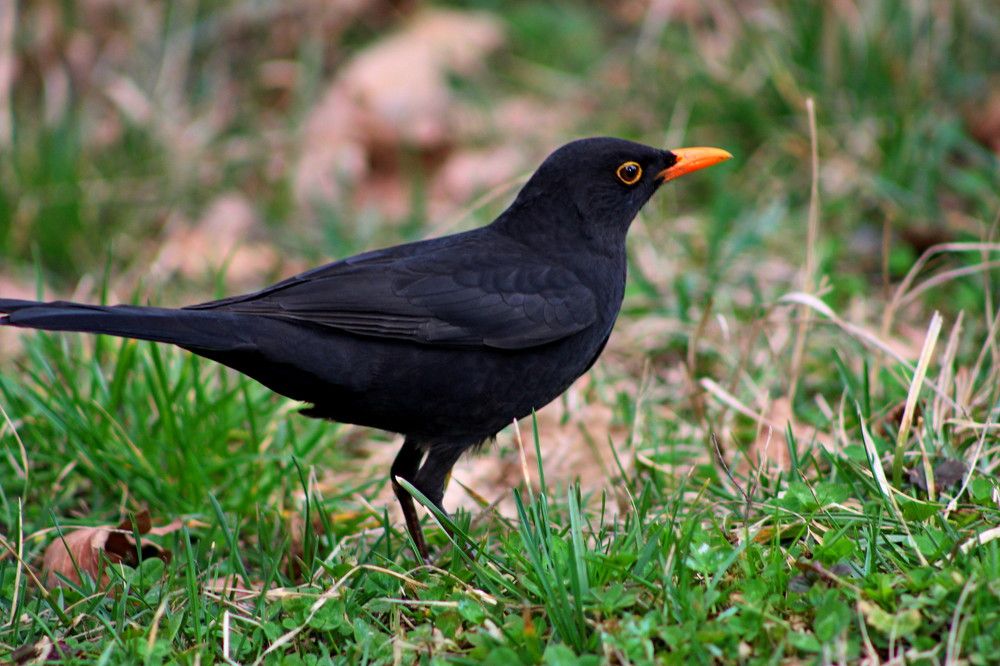 Photograph by Galina Tsmyg