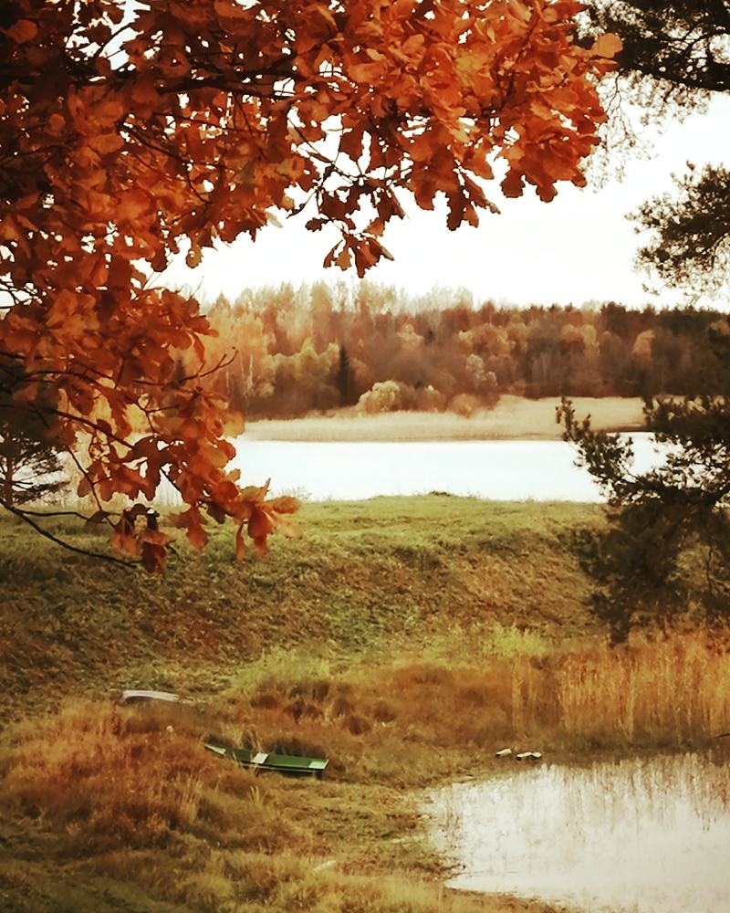 Photograph by Галина Смирнова