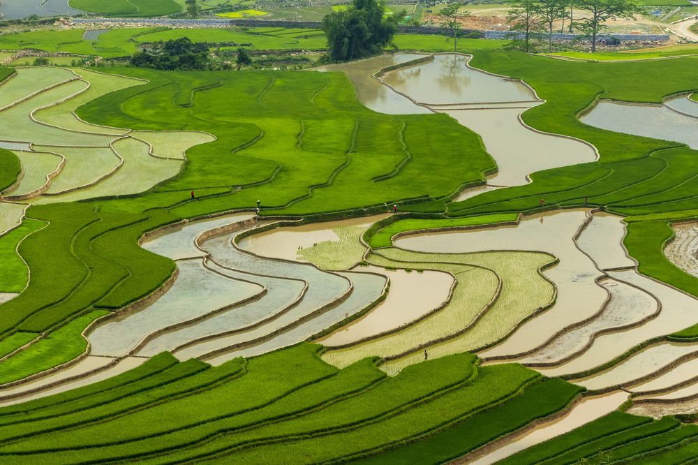 Фотография автора Quan Hung