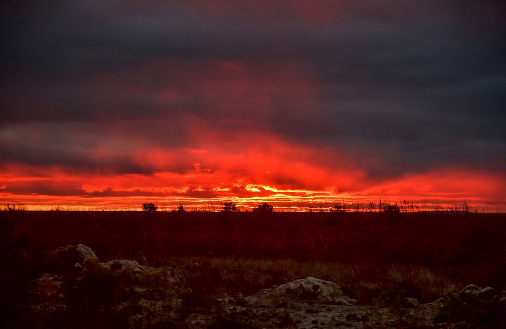 Photograph by Merdan Orazow