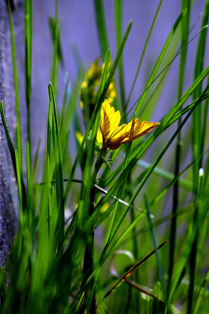 Photograph by Михаил Мехедов