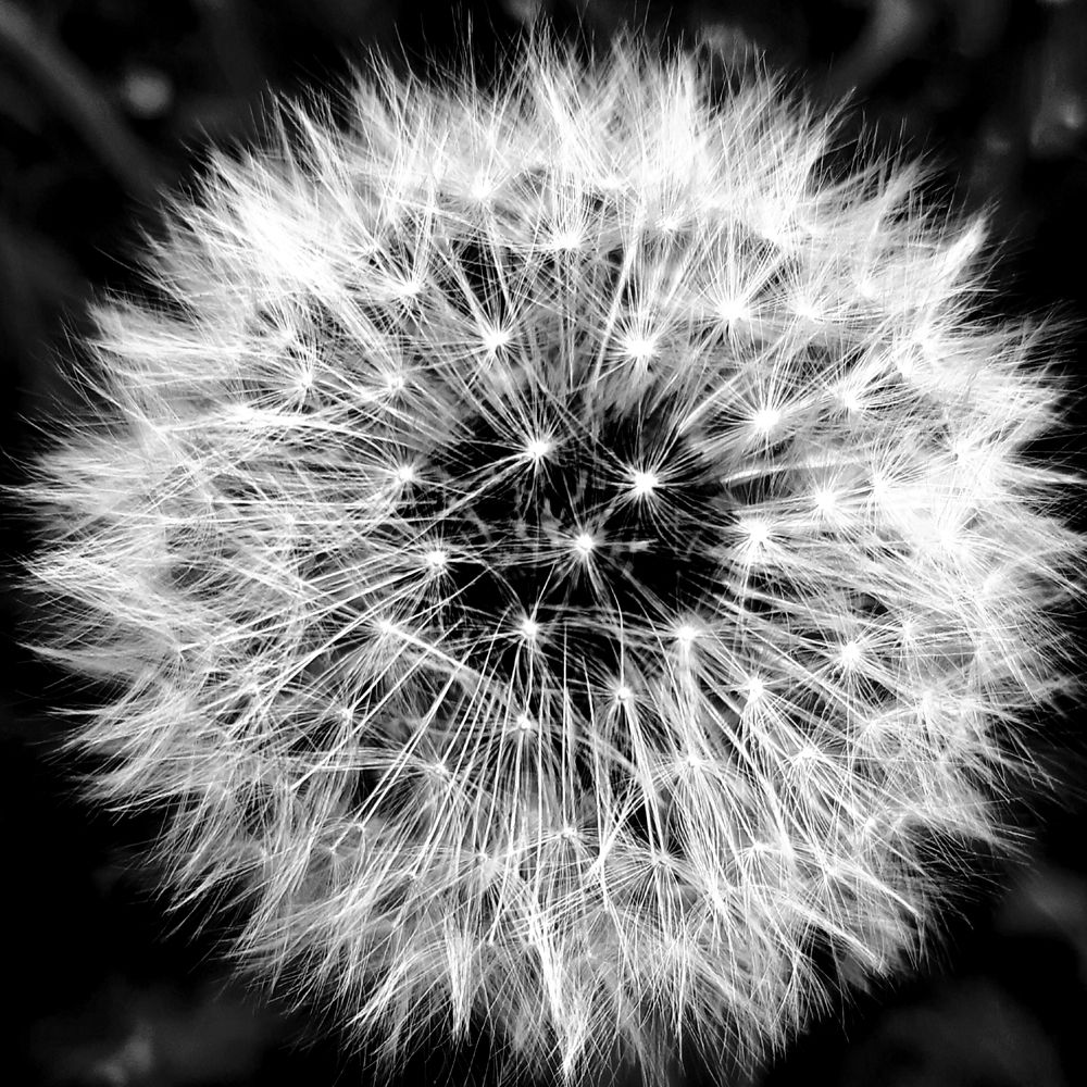 Photograph by Ольга Александрова