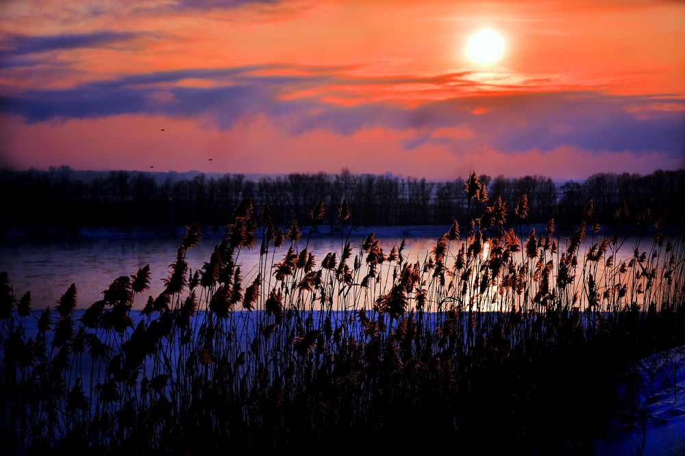 Photograph by Михаил Мехедов