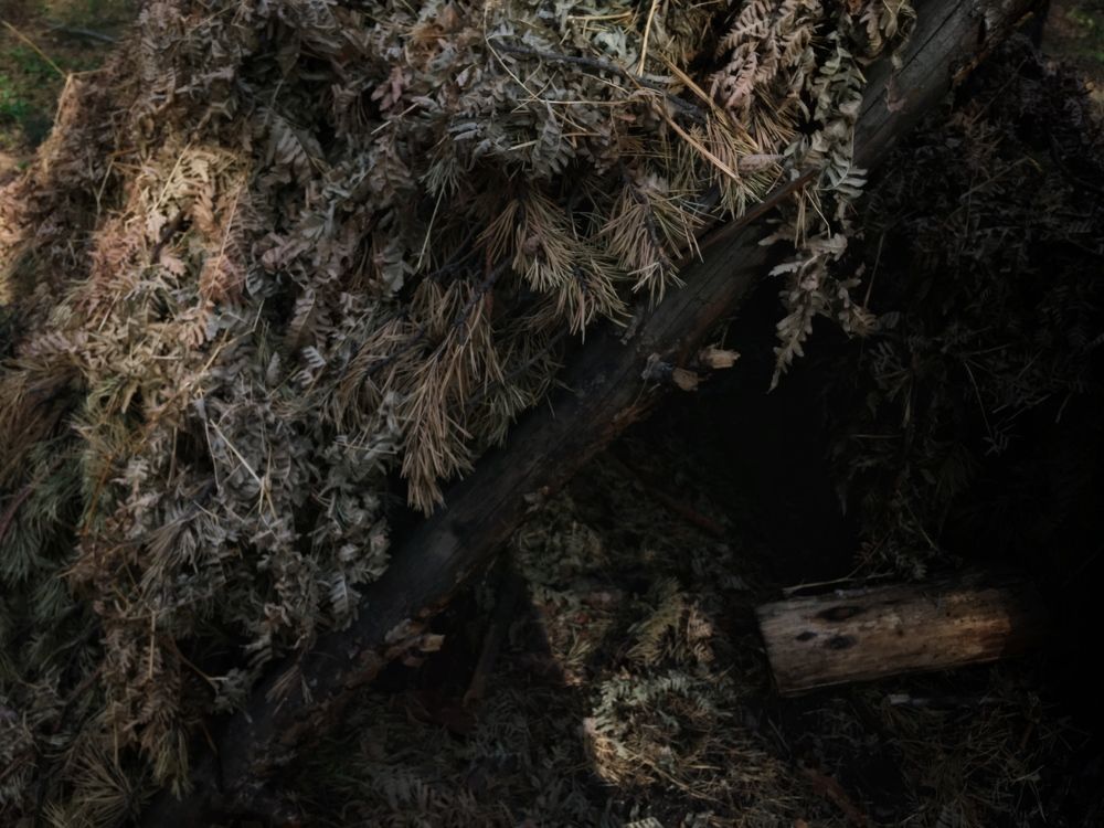 Photograph by Ирина Елсукова