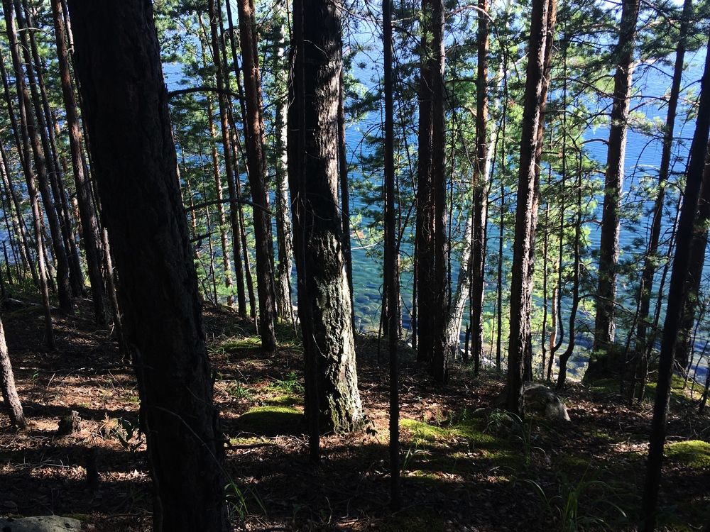 Photograph by Ирина Елсукова