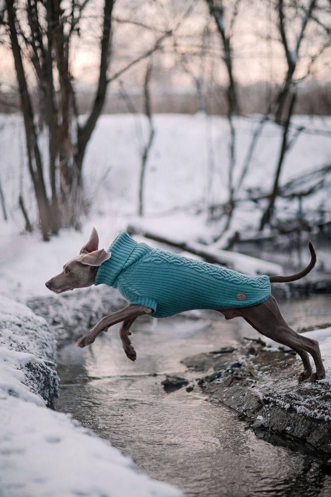 Photograph by Александра Липкина