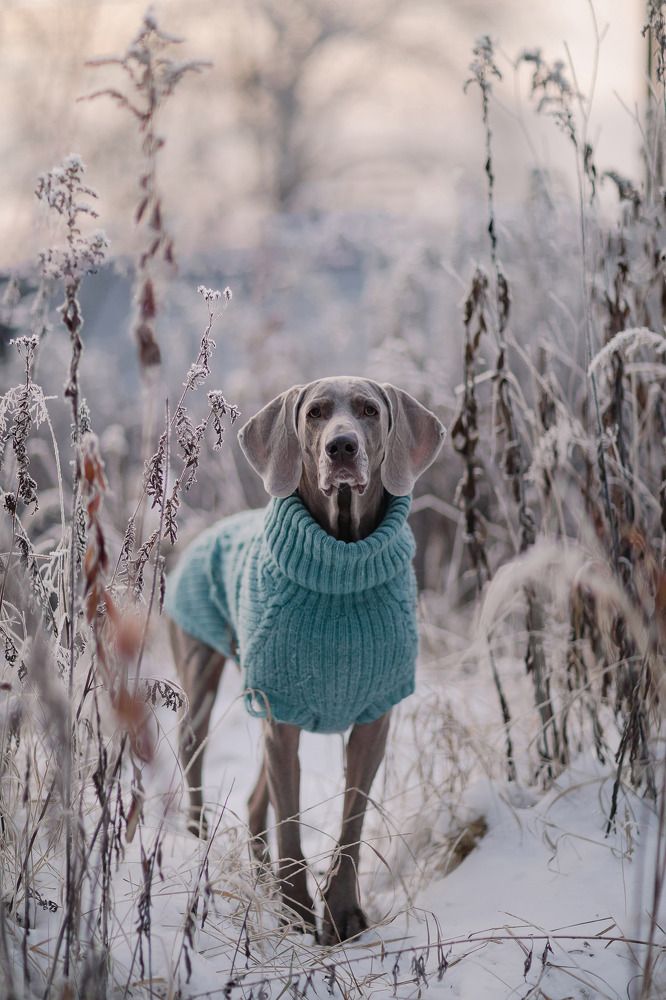 Photograph by Александра Липкина
