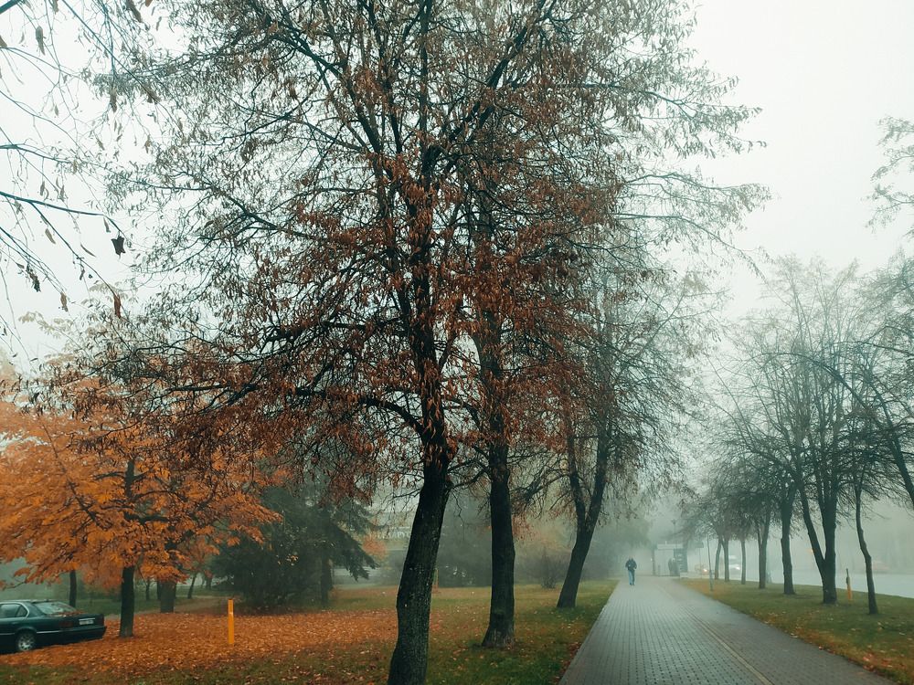 Photograph by Ирина Половцева