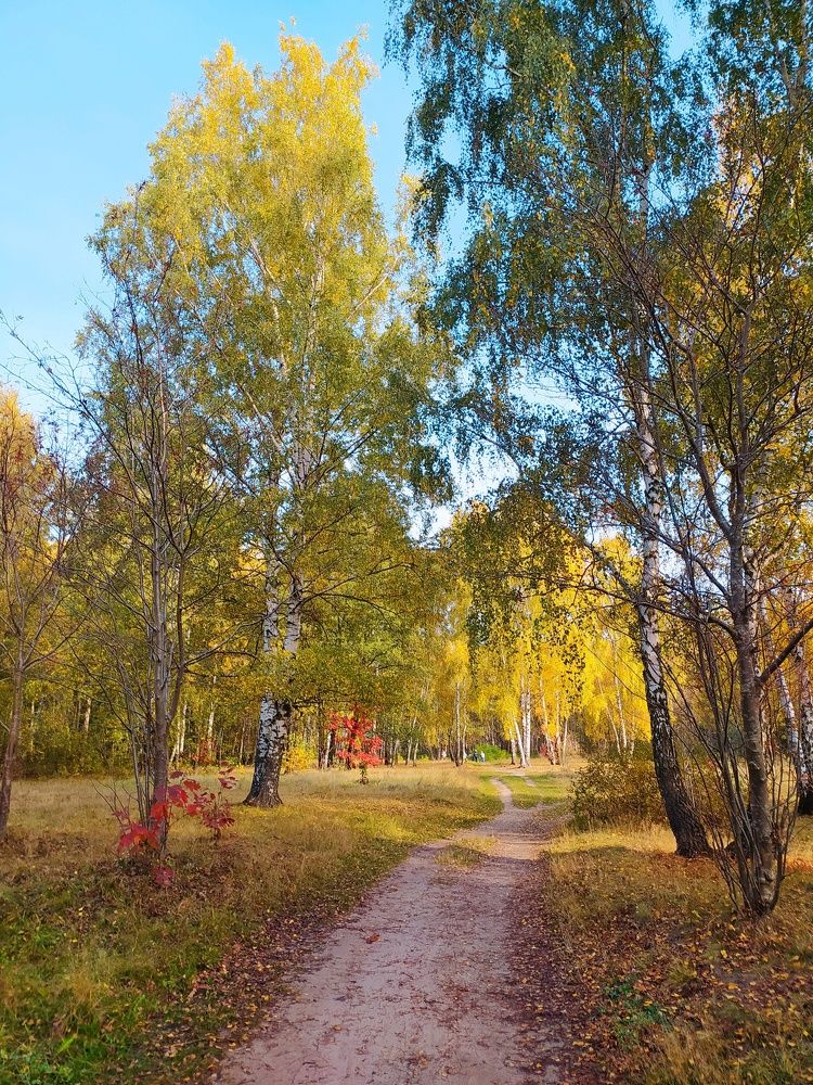 Photograph by Ирина Половцева