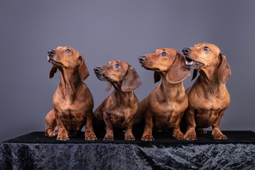 Photograph by наталья залогина