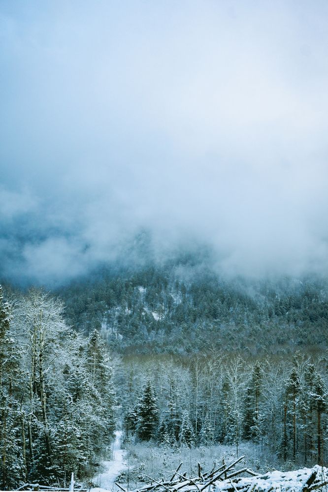 Photograph by Евгений Кузьмин