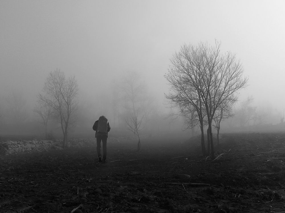 Фотография автора Hosein Davoodi