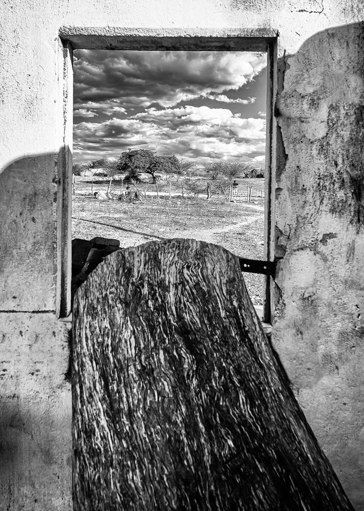 Photograph by Mardone França