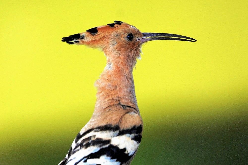 Photograph by Tamir Mor