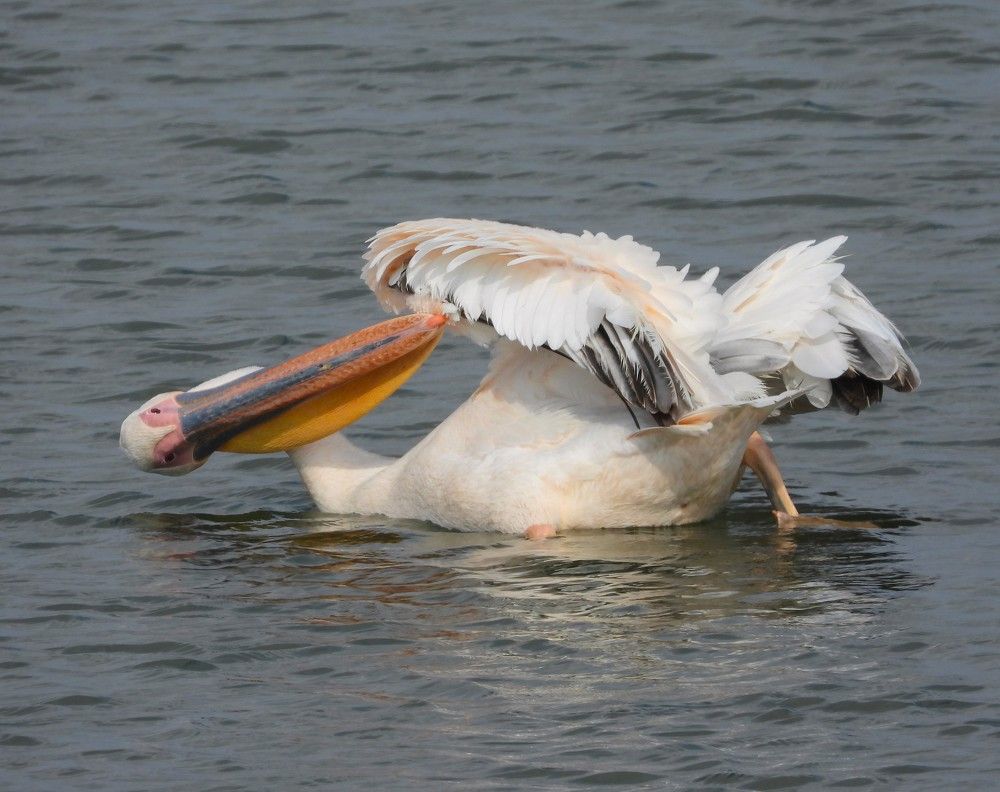 Photograph by Tamir Mor