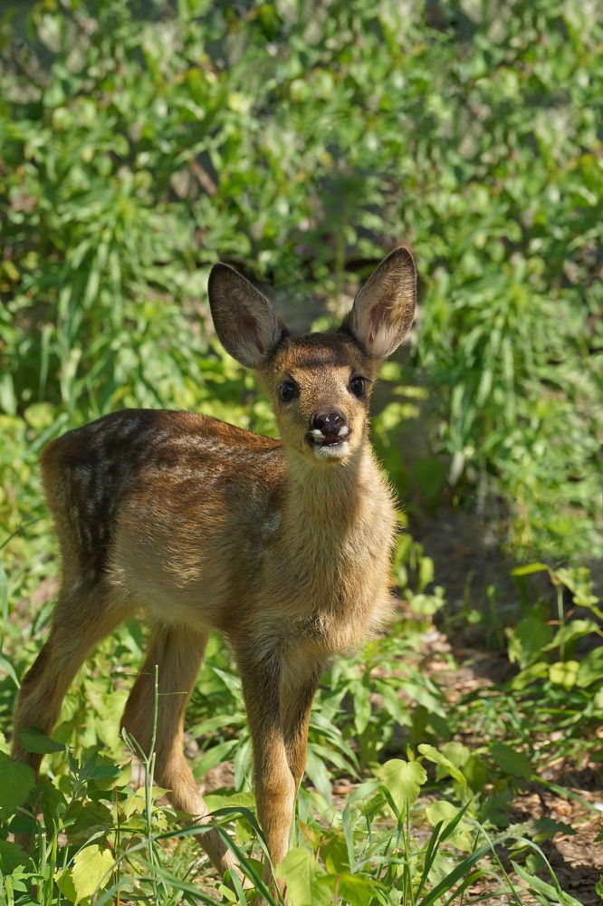 Photograph by андрей феоктистов