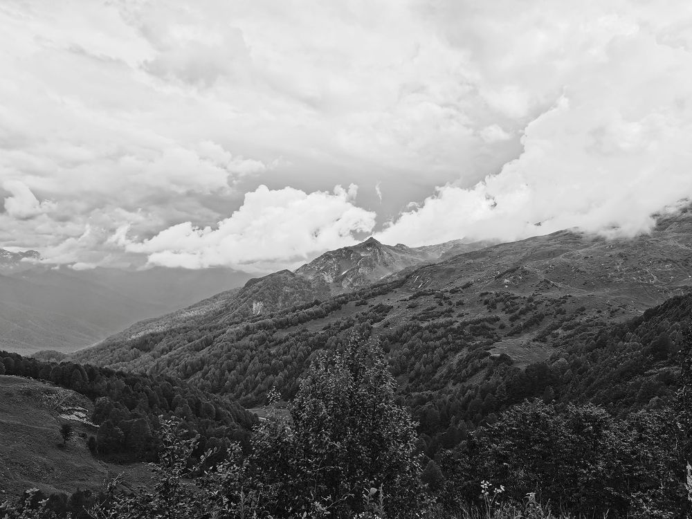 Photograph by Алина Якушина