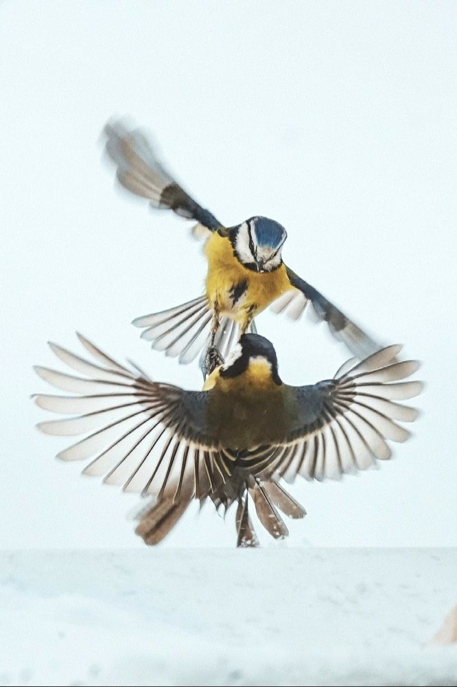 Photograph by Татьяна Шандромайло