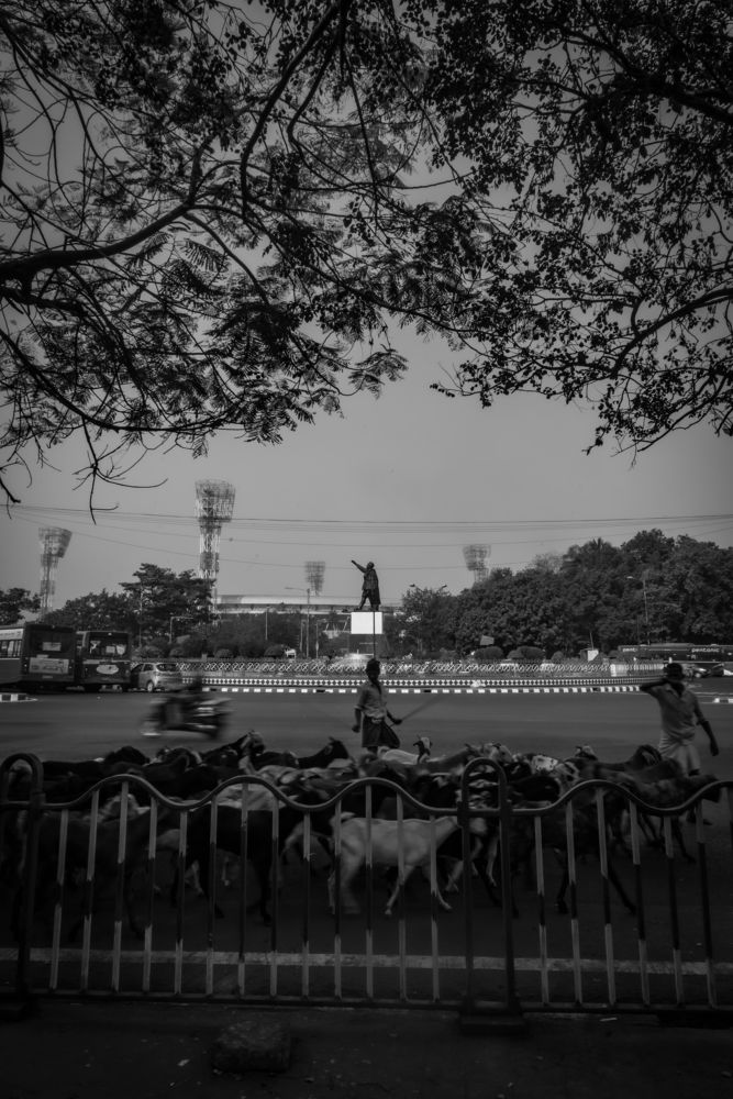 Photograph by Pemba Tshering Tamang