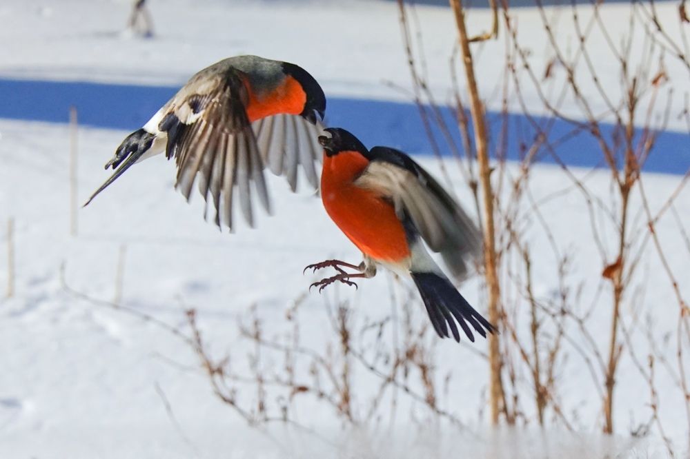 Photograph by Татьяна Шандромайло