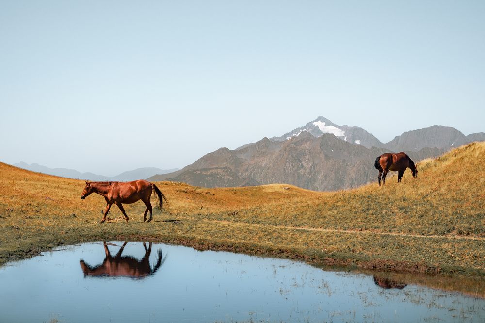 Photograph by Ярослав Изотов