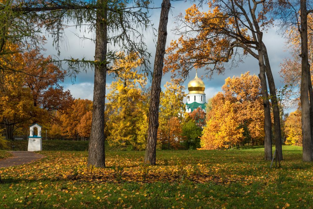 Золотая осень в Фермском парке
