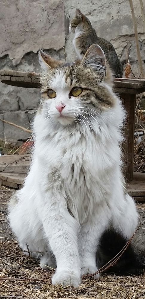 Photograph by Tigran