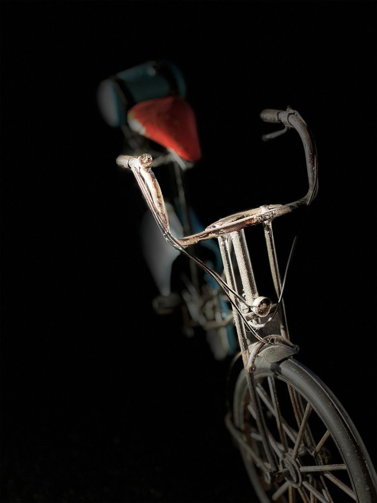 Фотография автора AYRES E POTTHOFF