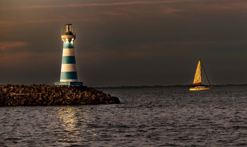 Фотография автора AYRES E POTTHOFF