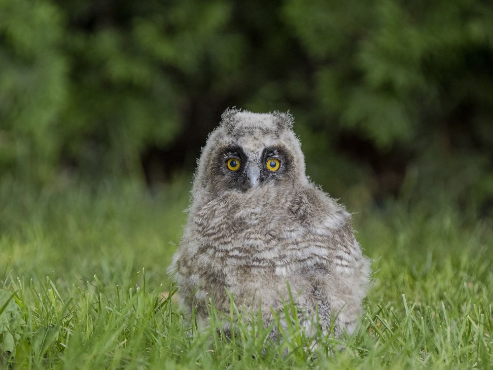 Photograph by Dejan Sklopic