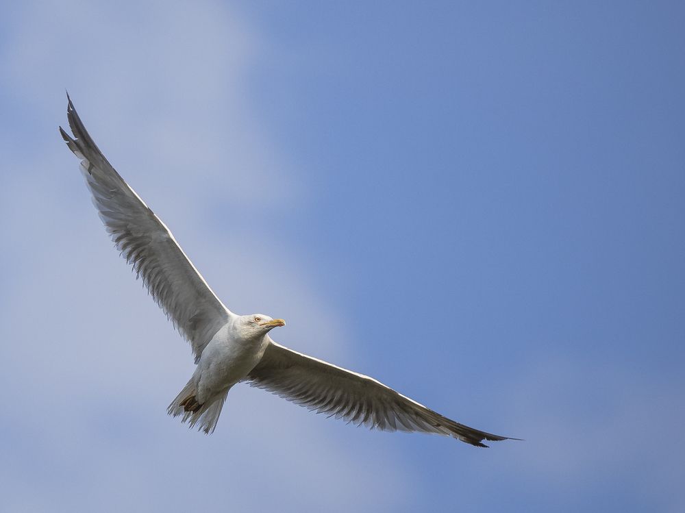 Photograph by Dejan Sklopic