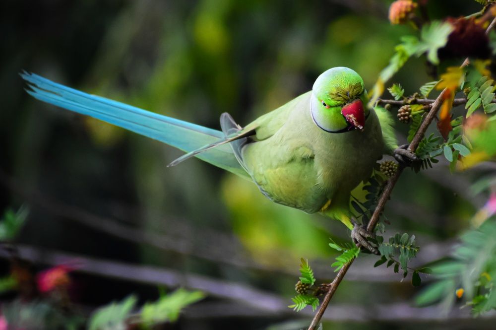 Photograph by Subrata Das